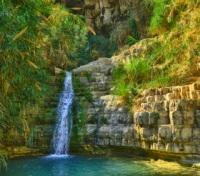 Ein Gedi